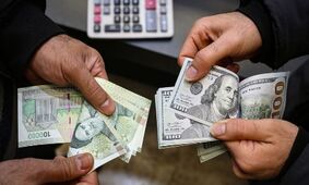 قیمت دلار در سال جدید / پیش‌بینی یک کارشناس اقتصادی درباره نرخ ارز