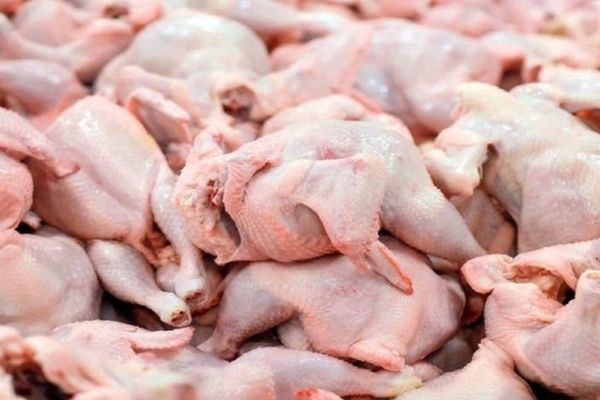 چرا مرغ ارزان نمی‌شود؟ / دست‌های مخفی و گران‌فروشی در بازار مرغ