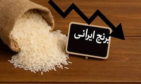 گرانی برنج؛ خرید کیلویی یا کیسه‌ای؟ انتخابی که دیگر ممکن نیست!