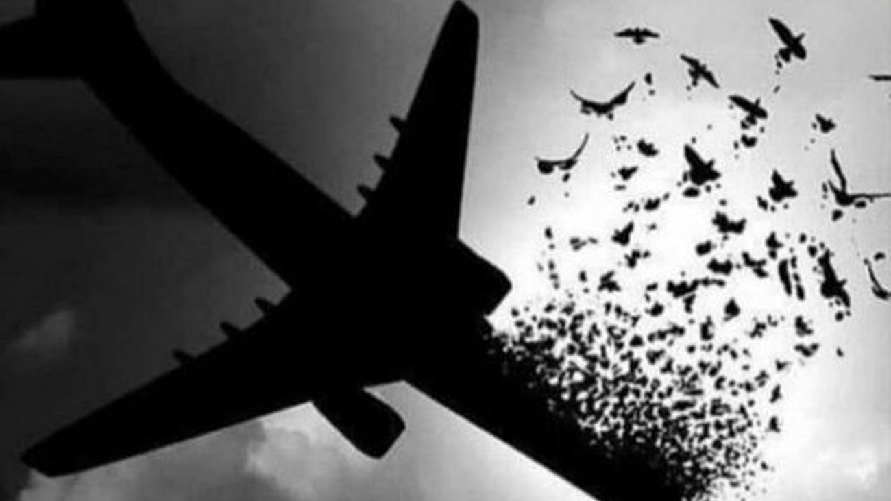 دلیل اهدای مدال طلای یکی از جانباختگان هواپیمای اوکراینی به موزه آستان قدس رضوی + عکس