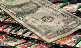 نقش دلار بر سفره خانوار / قیمت گوشت سرسام آور شد!
