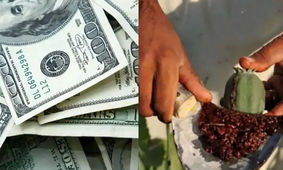 پرتاب موادمخدر از مرز افغانستان به داخل خاک ایران با منجنیق +ویدئو
