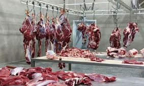 از وعده ارزانی تا نگرانی گرانی؛ سرنوشت قیمت گوشت تنظیم بازار
