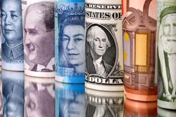 چگونه ناتاشا کانوا به نماد موفقیت اقتصادی تبدیل شد؟