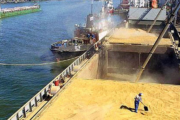 هشدار نسبت به بحران در زنجیره تولید مواد غذایی/ تعلل بانک مرکزی، دامداران را به مرز بحران رسانده است