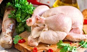 واردات مرغ به بازار به مشکل خورد / آنفولانزا حاد پرندگان در کمین است !