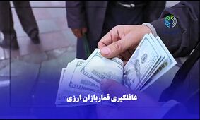 قماربازان ارزی را قبل از آنکه جیبتان را بزنند، بشناسید + فیلم