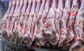 گوشت قرمز چند؟ قیمت امروز 12 آبان 1404 + جدول