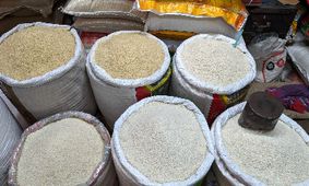 تورم شکست خورد؛ برنج ارزان در سفره‌های ایرانی!