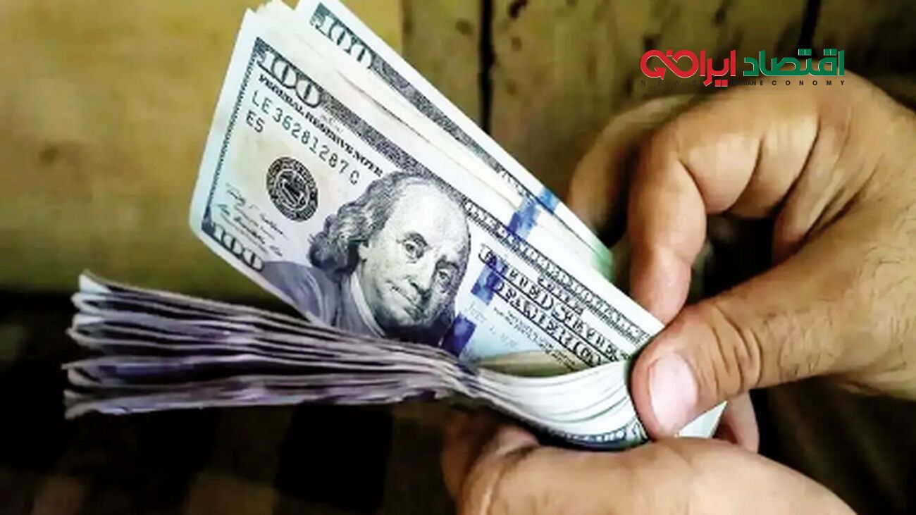 خانم سخنگو راز تغییرات قیمت دلار را فاش کرد!