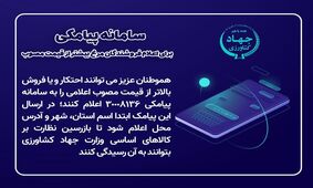 روش نقره داغ کردن مرغ فروش ها با یک کلیک 