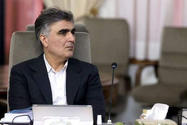 افشاگری جنجالی فرزین درباره پشت پرده بانک آینده