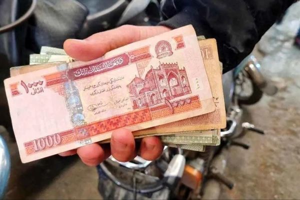 قیمت افغانی امروز یکشنبه 19 بهمن 1404