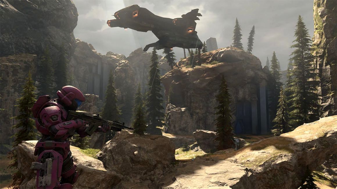 استودیو halo