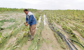 مصرف آب کشاورزی ایران از مصرف کشورهای عقب مانده نیز بیشتر است