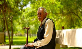 این گروه از افراد سود سهام گرفتند+ جزئیات
