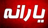 2 واریزی ویژه برای یارانه‌بگیران / حساب این افراد شارژ می‌شود