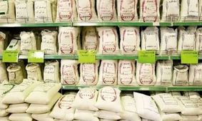 برنج ارزان می‌شود؟ بررسی وعده‌های مسئولان