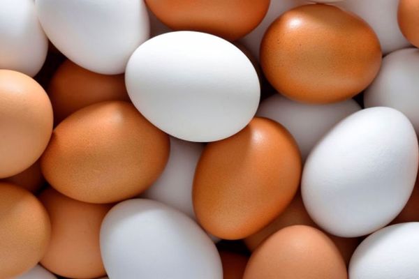 قیمت هر شانه تخم مرغ در بازار اعلام شد