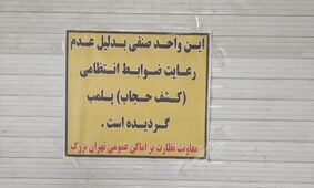 عکس برهنه بازی که مجتمع تجاری «اپال» را پلمب کرد