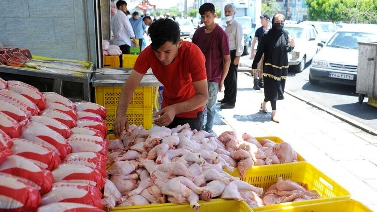 آخرین قیمت گوشت مرغ و گوسفندی / بازار مرغ به ثبات نسبی رسیده !