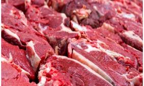 مقصر گرانی گوشت قرمز و مرغ مشخص شد