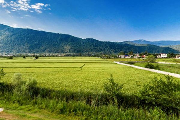 خبر خوش برای مالکان زمین‌های زراعی/ تبدیل زمین به ویلا فقط با چند مرحله ساده!