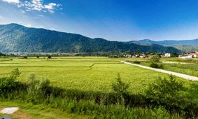 خبر خوش برای مالکان زمین‌های زراعی/ تبدیل زمین به ویلا فقط با چند مرحله ساده!