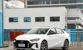 یوزپلنگ چینی در جاده‌های ایران  + مشخصات و جزئیات