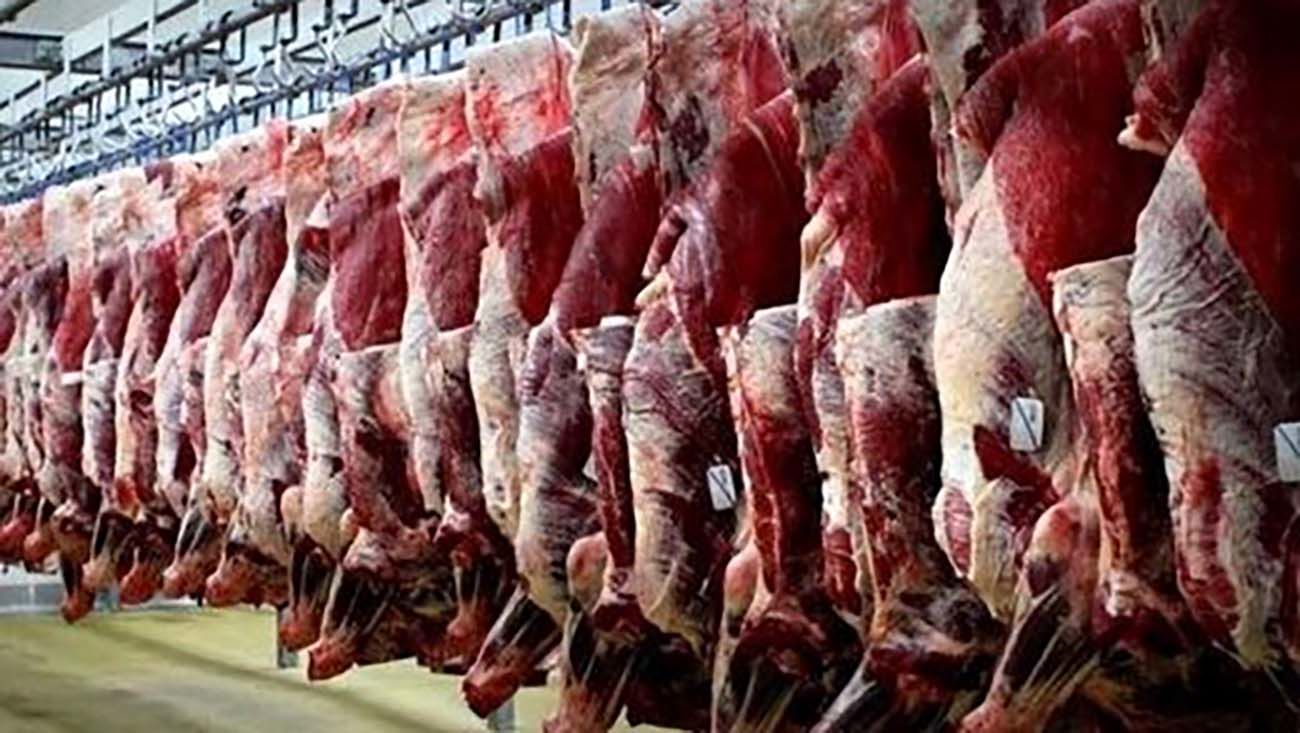 قیمت گوشت ارزانتر میشود؟ / جدیدترین وضعیت بازار گوشت قرمز