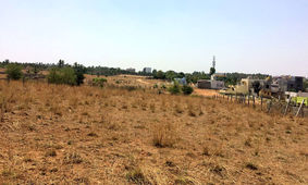 این افراد زمین رایگان دریافت می کنند + جزئیات
