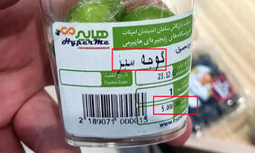 5 عدد گوجه سبز در شمال تهران 500 هزار تومان ! + عکس باورنکردنی