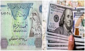 جدول قیمت درهم ، دلار و سکه امروز شنبه 24 دی 1401