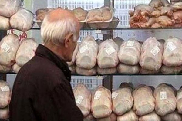 گرانی سرسام‌آور مرغ ، نماینده مجلس: قرارگاه جنگی تشکیل شود + فیلم