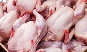 نتیجه تلخ قیمت‌گذاری دستوری؛ مرغ از سفره‌ها خداحافظی کرد !