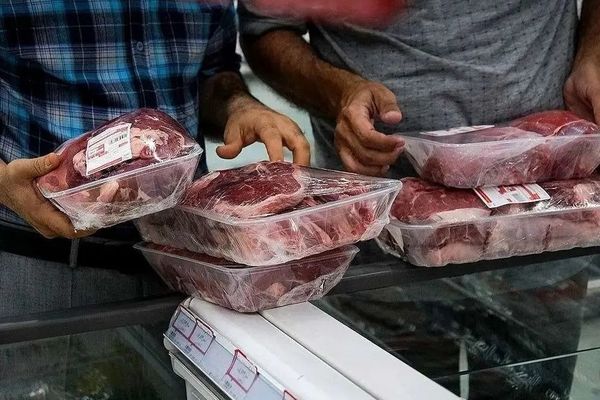 فروش ویژه گوشت ارزان قیمت آغاز شد!