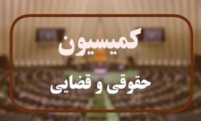 قانون بکارگیری سلاح در مجلس / جزئیات تصمیمات کمیسیون حقوقی