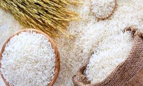 قیمت روز برنج هندی مهر ماه ۱۴۰۴: برنج درجه یک چند؟ + جدول