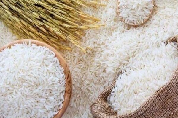 قیمت جدید برنج ایرانی در بازار / هر کیسه 10 کیلویی طارم و شیرودی چند؟