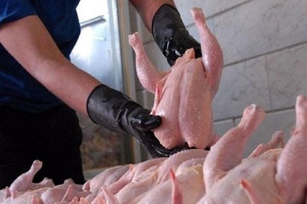 اعلام قیمت جدید مرغ در بازار/ بالاتر از این قیمت نخرید