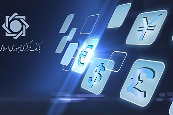 میزان تامین ارز واردات امسال از ۱۵.۳ میلیارد دلار عبور کرد