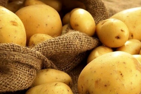 سیب‌زمینی و پیاز رکورد ارزانی را شکستند!