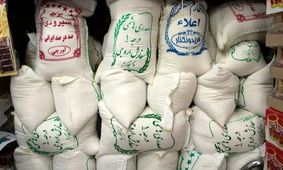 کاهش شدید قیمت برنج؟!/ بررسی قیمت انواع برنج ایرانی و خارجی در شهریور ۱۴۰۴