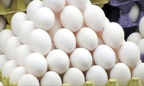 قیمت تخم‌مرغ مشخص شد! از این نرخ بیشتر نخرید!