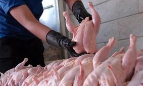 پیش‌بینی کاهش قیمت مرغ طی ۳ روز آینده