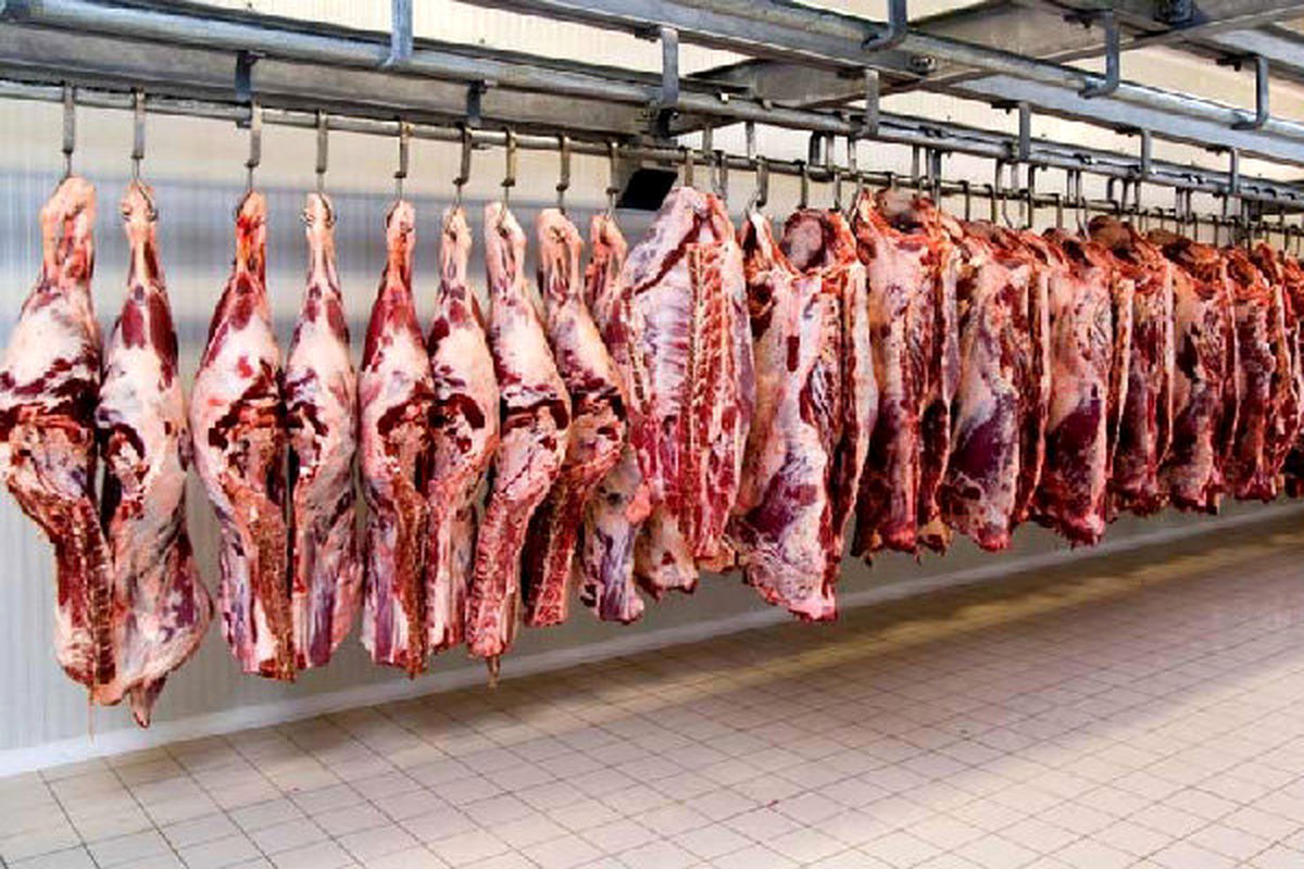 چرا دولت اصرار به واردات گوشت قرمز دارد؟/ تجربه پیازهای وارداتی تکرار می شود؟