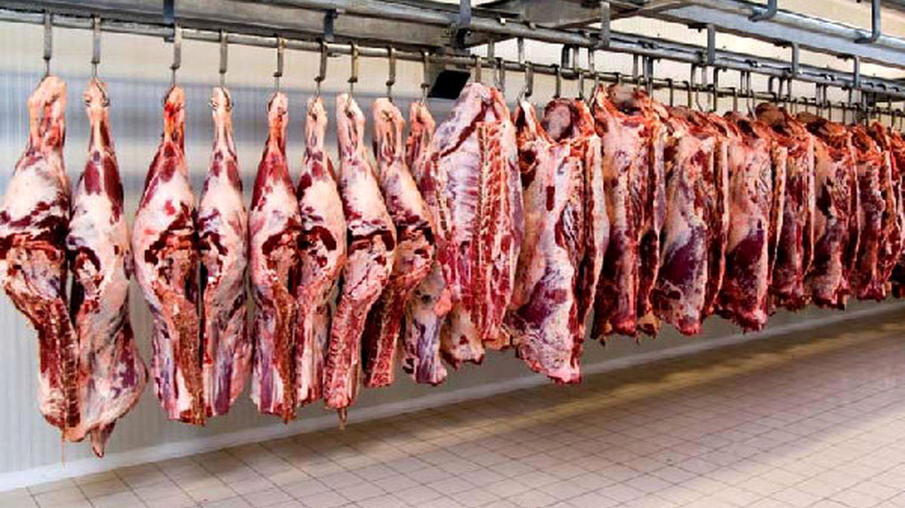 ارز واردات گوشت گرم حذف نشده است / ارز نیمایی واردات گوشت منجمد حذف شد
