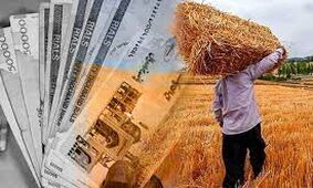 خبر مهم/زمان تسویه حساب گندمکاران اعلام شد!