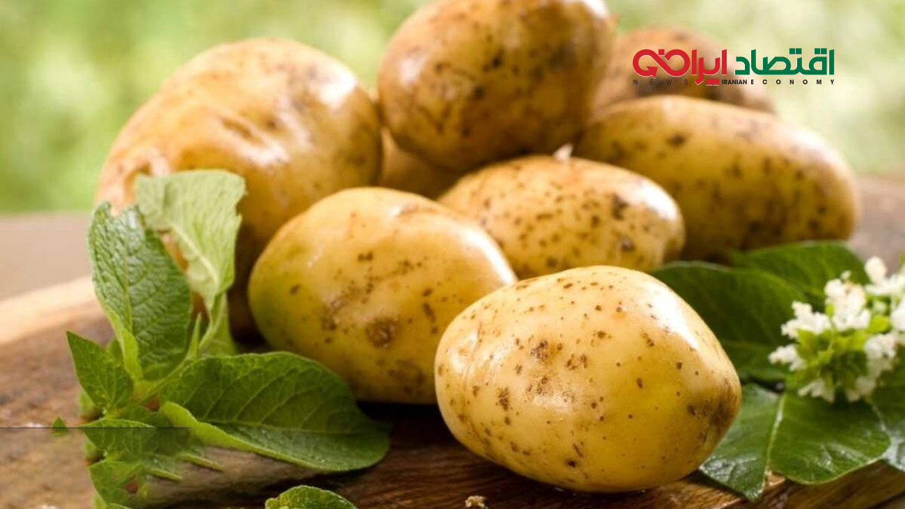 بلایی که کمبود سیب زمینی بر سر تهرانی ها آورد !