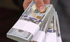 ۲۰ میلیارد دلار ارز صادراتی گم شد!